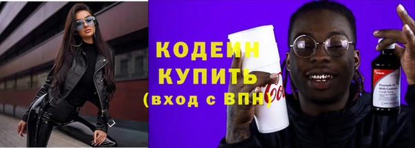 хмурый Арсеньев