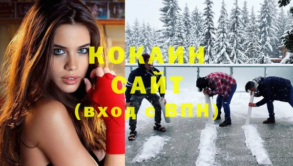 тгк Алзамай