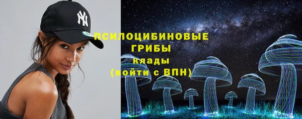 тгк Алзамай